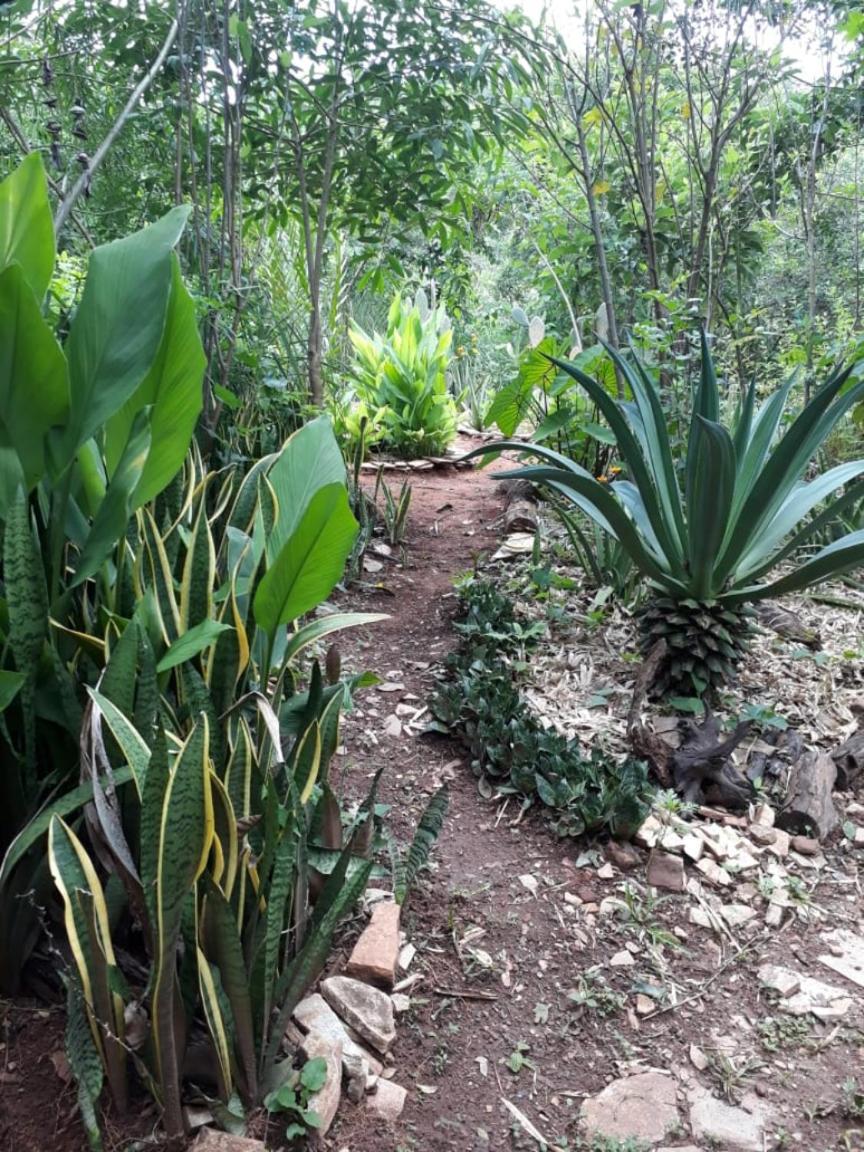 Lodge Recanto Corujas